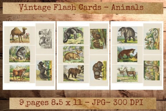 Download Vintage Animal Homeschooling Flashcards - Home Collection